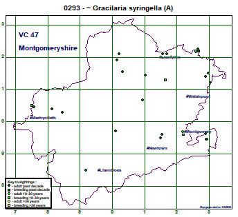 map map